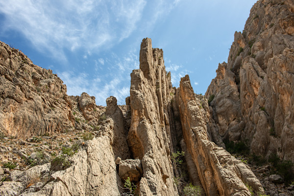 Dog Canyon by Billy Moore