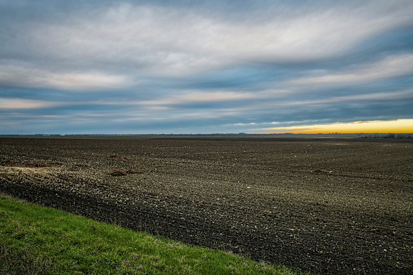 Untitled, Blackland Prairies by Billy Moore