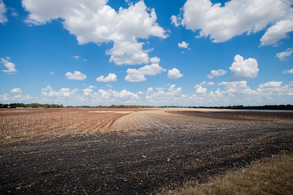 Untitled, Blackland Prairies by Billy Moore