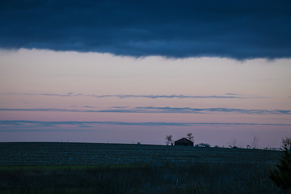 Untitled, Blackland Prairies by Billy Moore
