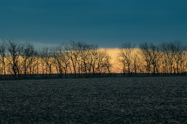 Untitled, Blackland Prairies by Billy Moore