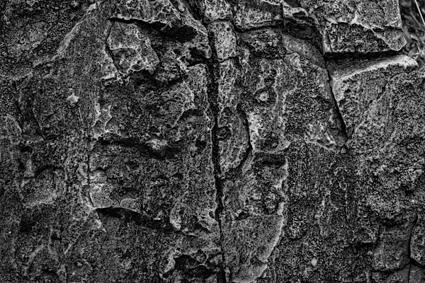 Untitled by Billy Moore