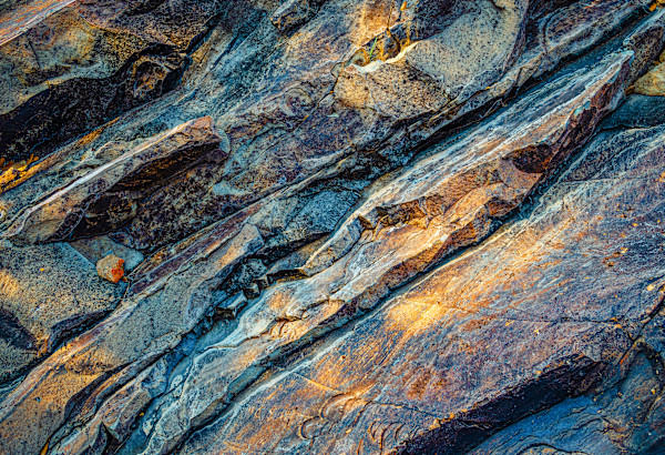 Untitled, Modesta Canyon by Billy Moore