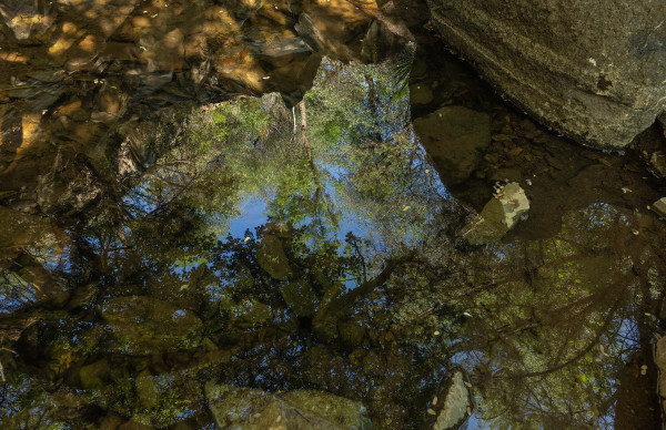Reflection, Limpia Creek, Davis Mountains by Billy Moore
