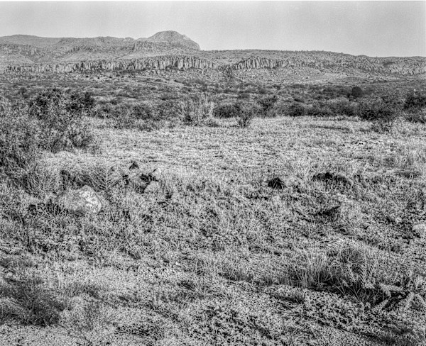Desert View Along RR 1837 by Billy Moore, Image 1.