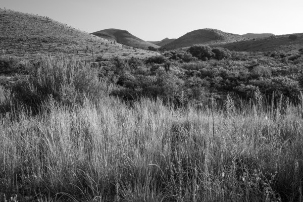 Untitled, Davis Mountains, by Billy Moore