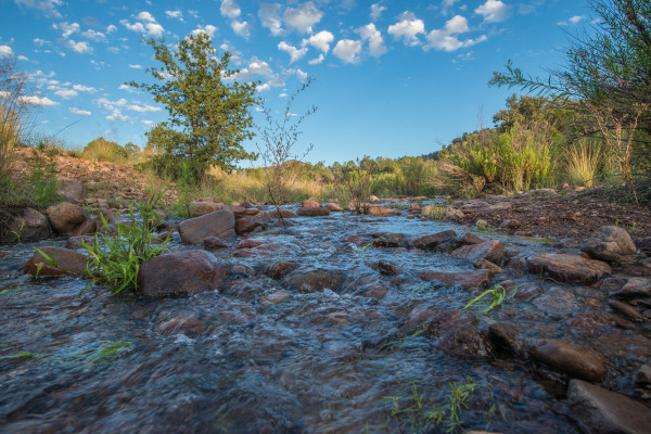Madera Creek 2, Davis Mountains Preserve by Billy Moore
