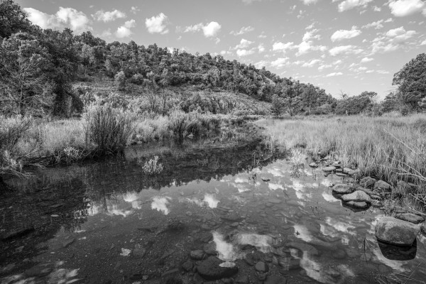 Madera Creek, Davis Mountains by Billy Moore