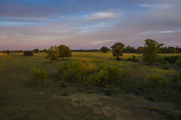 Twilight Landscape, Bastrop County by Billy Moore
