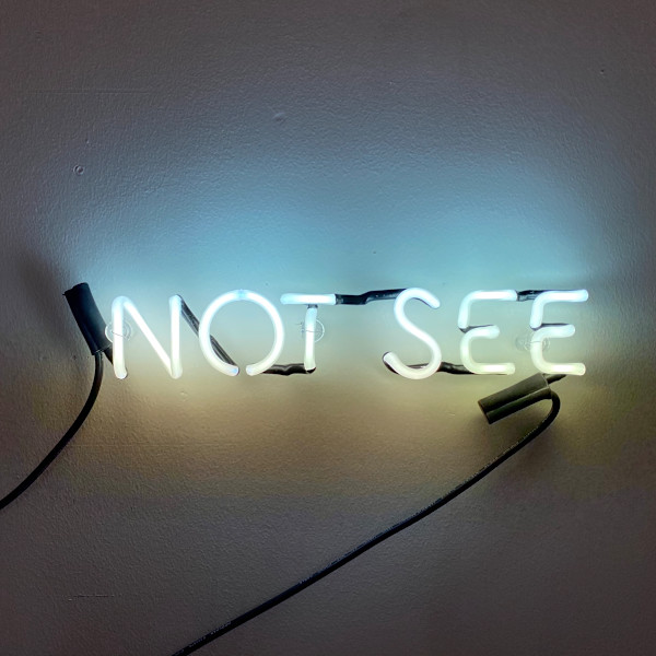 NOT SEE by Madelin Coit
