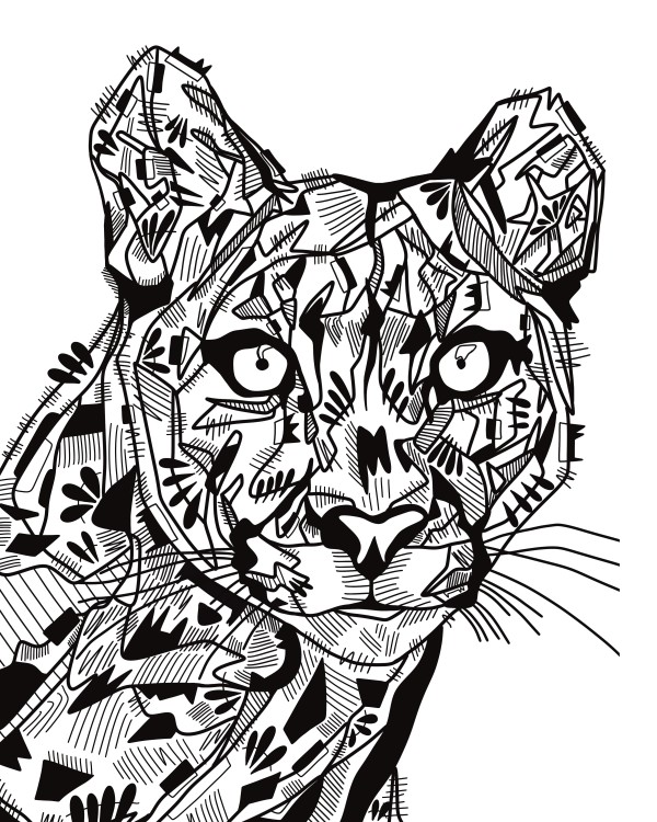 Puma by Rising Moon Studio