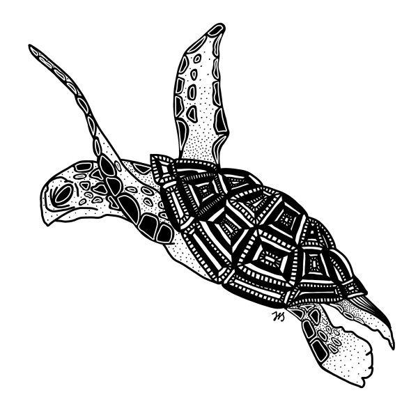 Turtle by Rising Moon Studio