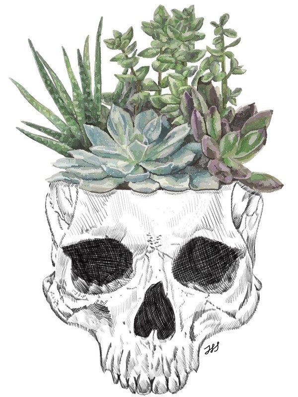 Skull Succulent by Rising Moon Studio