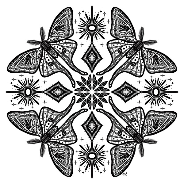 Quad Butterfly by Rising Moon Studio