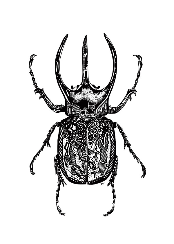 Atlas Beetle by Rising Moon Studio