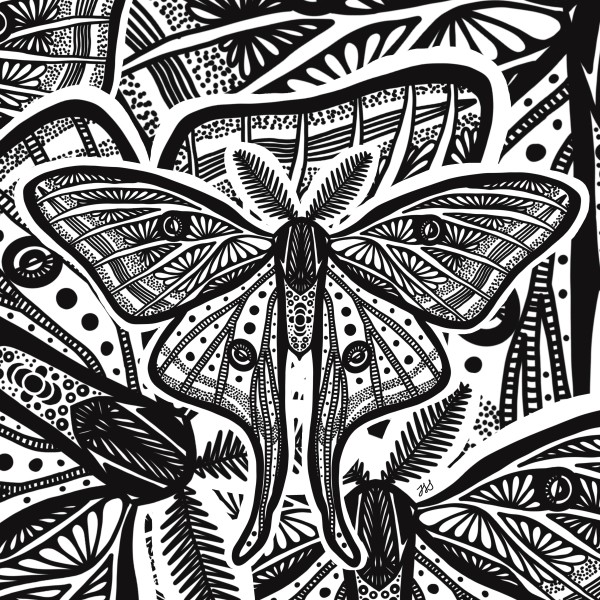 Moths by Rising Moon Studio