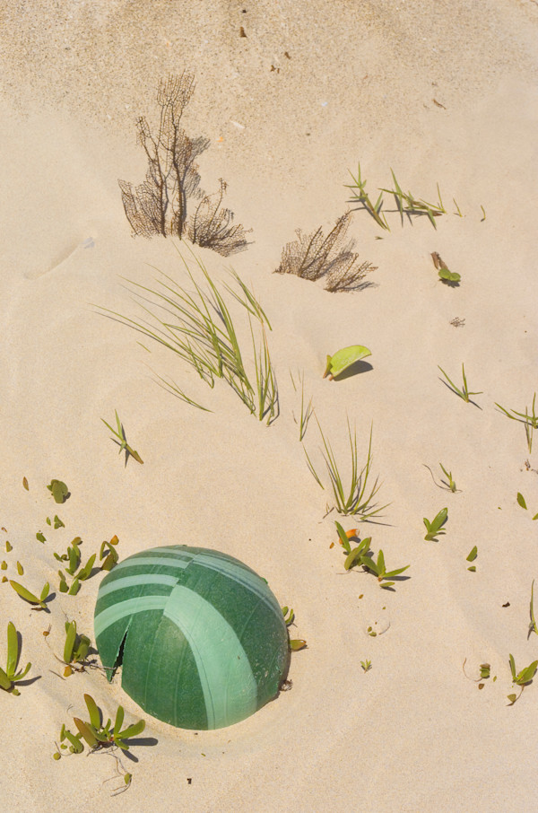 Vacations End by David Ginsberg, Image 1.