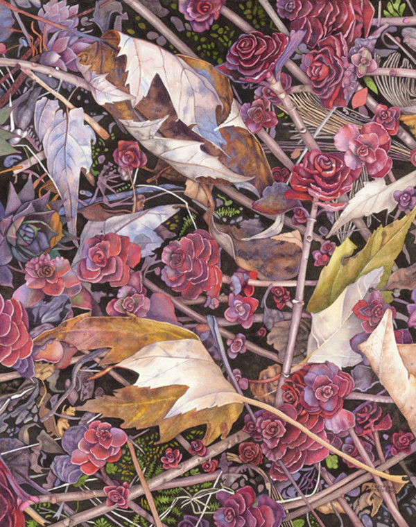 Sedum Leaves by Kristine Fretheim