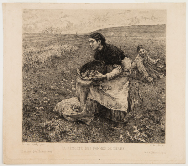La Recolte des Pommes de Terre by Felix Bracquemond