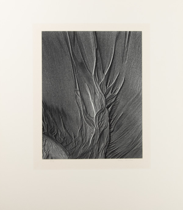 Erosion by Alan McGee