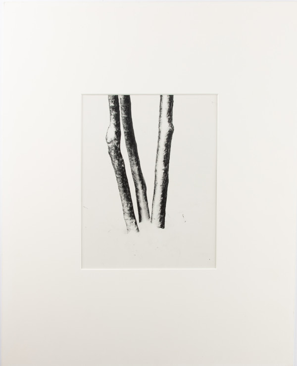 Untitled by Harry Callahan