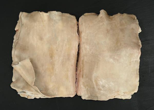 Cher journal by Sarah Jérôme