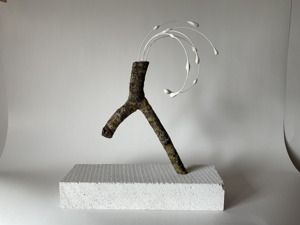 Sapstroom - fierce by Bernet Ragetli