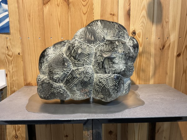 Donderwolk by Bernet Ragetli