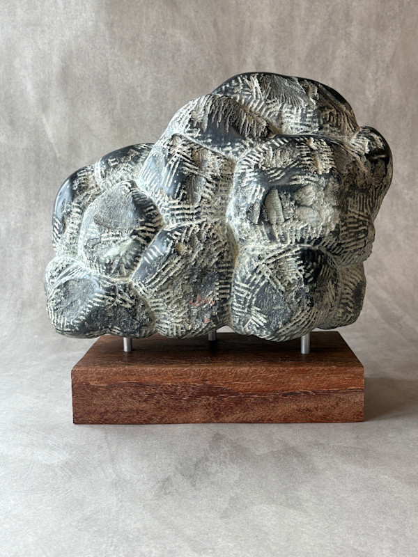 Wolk - Donderwolk by Bernet Ragetli, Image 4.