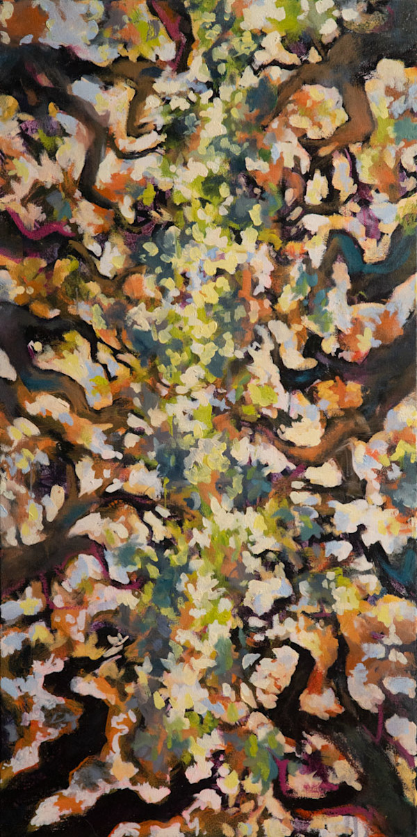 KMCGILL_TREES_FIT_bapeun_13 by Kerri McGill, Image 2.