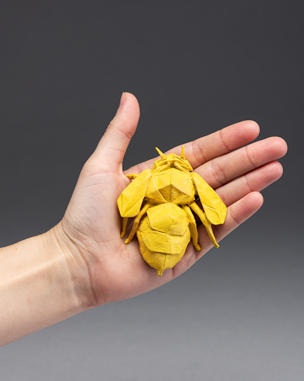 Bee Cause mini by Kevin Box Studio