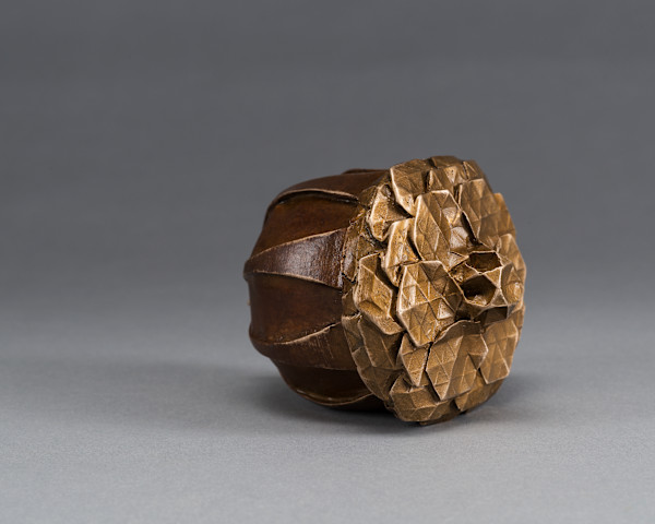 Seed small by Kevin Box Studio