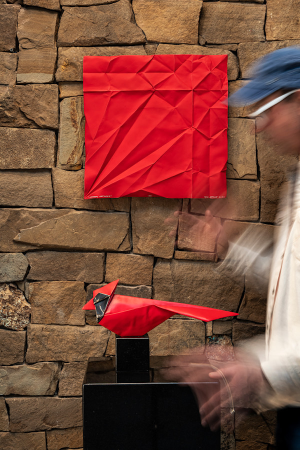 Crease Cardinal by Kevin Box Studio