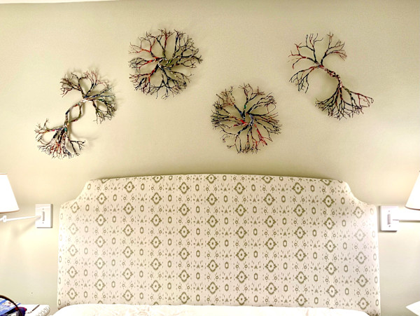 Untitled by Perry Gross