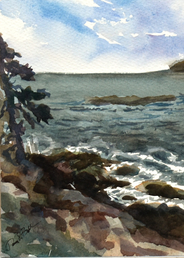 Allen Island Surf by Deena S. Ball