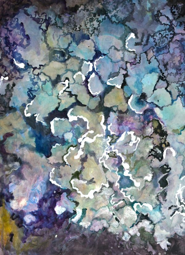 Lichen - Blackstrap Community Preserve by Deena S. Ball, Image 1.