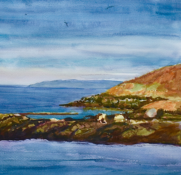 Light on Allen Island by Deena S. Ball, Image 1.