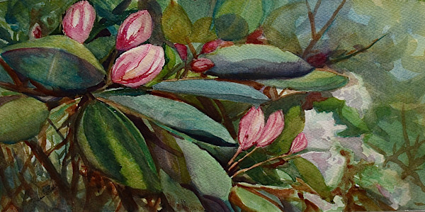 Rhododendron Bliss by Deena S. Ball, Image 1.