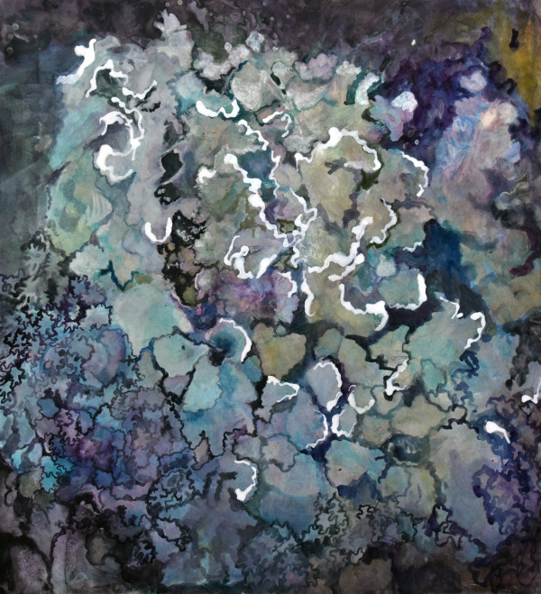 Lichen - Blackstrap Community Preserve by Deena S. Ball