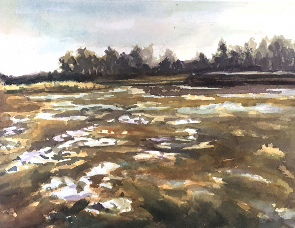 Swamp Ice - Gilsland Farm/ Maine Audubon by Deena S. Ball