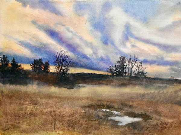 Nightfall- Gilsland Farm/ Maine Audubon by Deena S. Ball, Image 2.