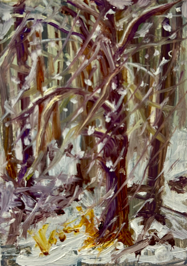 Snowy Woods by Deena S. Ball
