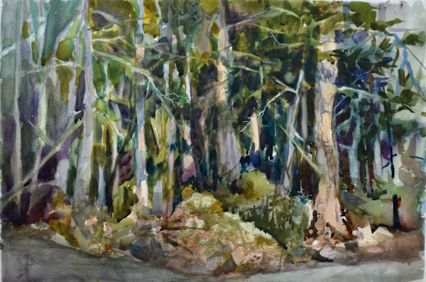 North Woods by Deena S. Ball, Image 2.