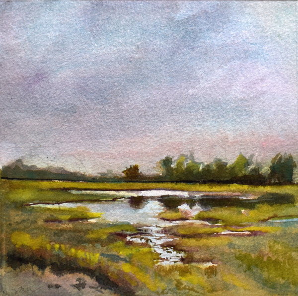 Rainy June- Scarborough Marsh by Deena S. Ball