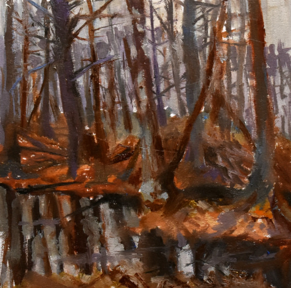 Vernal Pool by Deena S. Ball