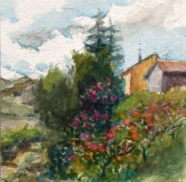 Vineyard by Deena S. Ball