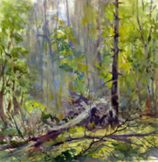 Blowdown by Deena S. Ball 