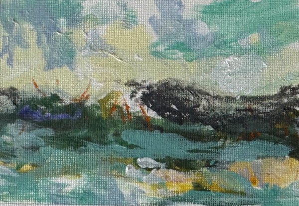 Garden of Mist by Chris Pero