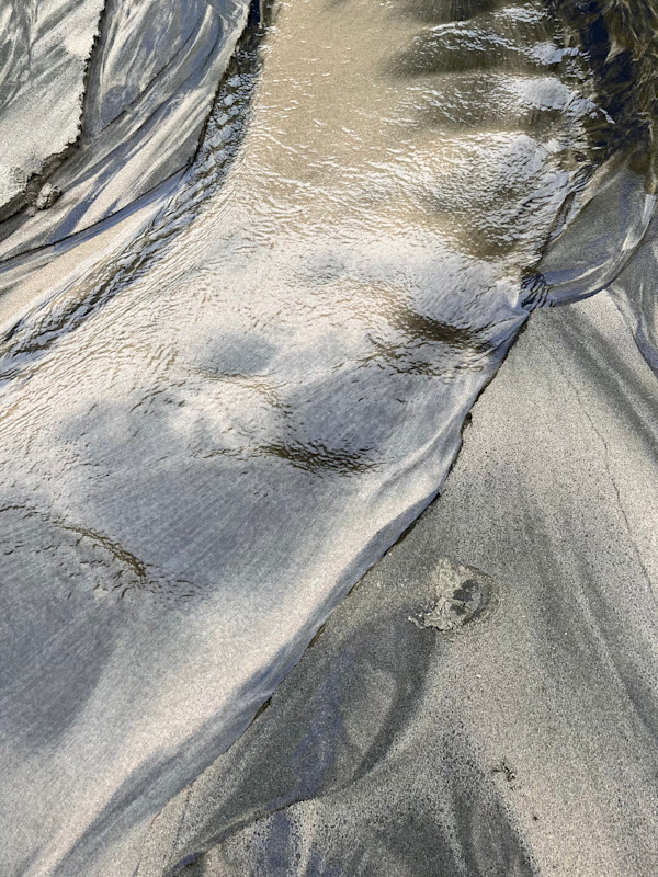 Water Wise by Chris Pero, Image 1.