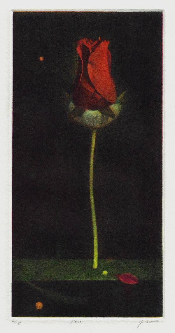 Rose by Yuji Morita
